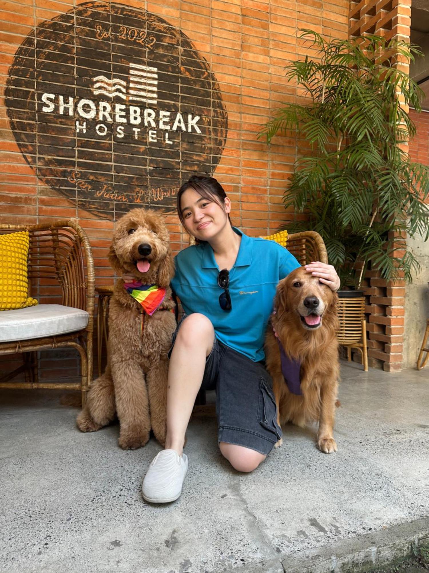 Shorebreak Hostel San Juan  Dış mekan fotoğraf